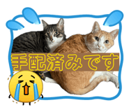 857727580