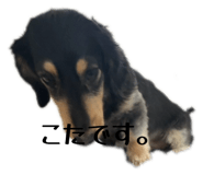 857727960