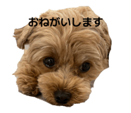 857728376