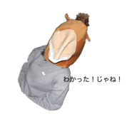 857728621