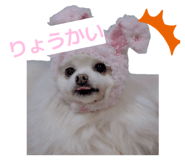 857728938