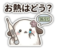 857729037
