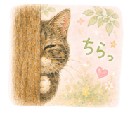 857729503