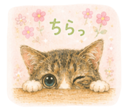 857729504