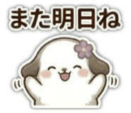 857729554