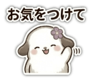 857729555