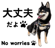 857729800