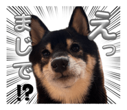 857729801