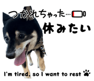 857729811