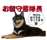 857729813