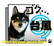 857729820