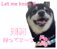 857729824