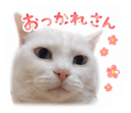 857730734