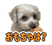 857731057