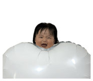 857731090