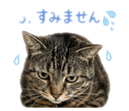857731136
