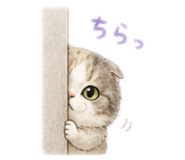 857731160