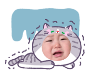 857731569