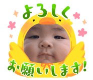857731657