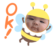 857731662