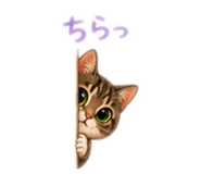 857731870
