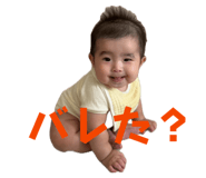 857732244