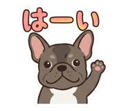 857732527