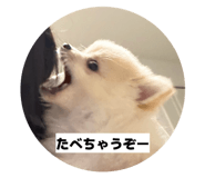 857732537