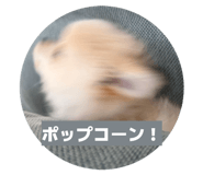 857732547