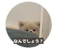 857732548