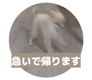 857732559