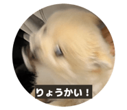 857732560