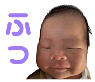 857733646