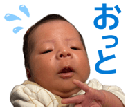 857733648