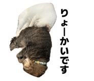 857735103
