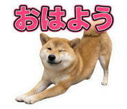 857735264