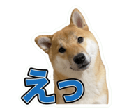 857735266