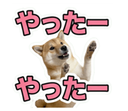857735267