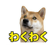 857735269
