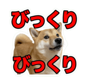857735270
