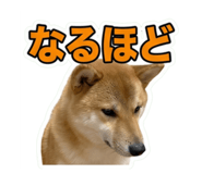 857735271