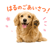 857736460