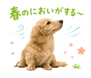 857736466