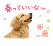 857736479