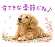 857736480