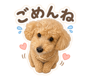 857737996