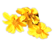 857739717