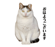 857740937