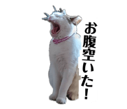 857740939