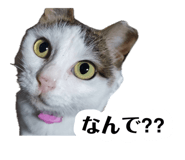 857740942